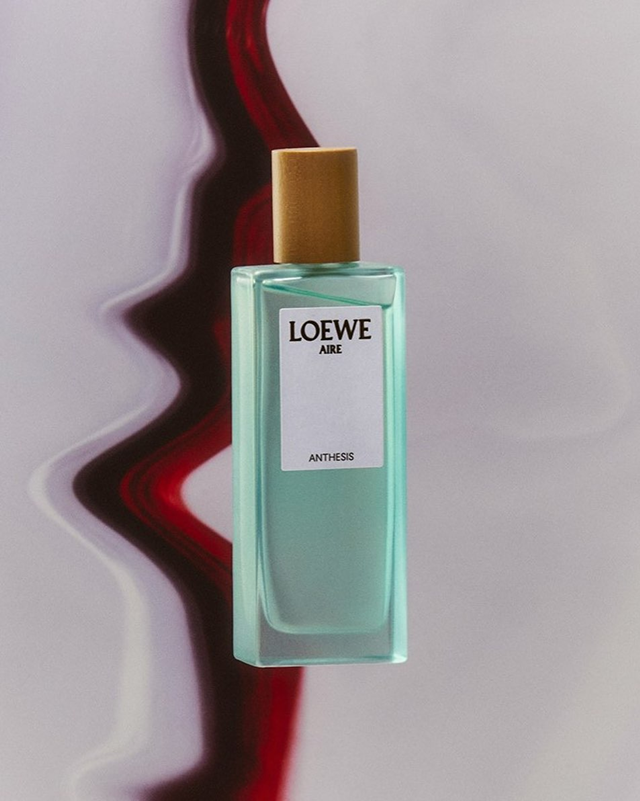 Aire Anthesis loewe 25 71