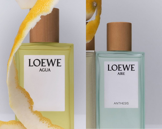 Aire Anthesis loewe 25 72