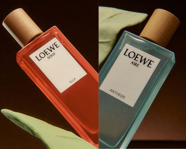 Aire Anthesis loewe 25 74