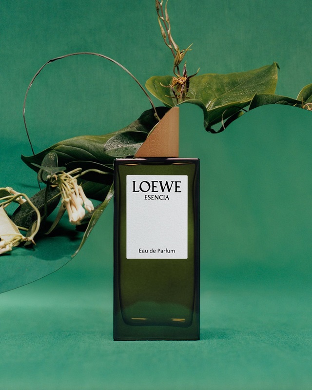 Aire Anthesis loewe 25 75