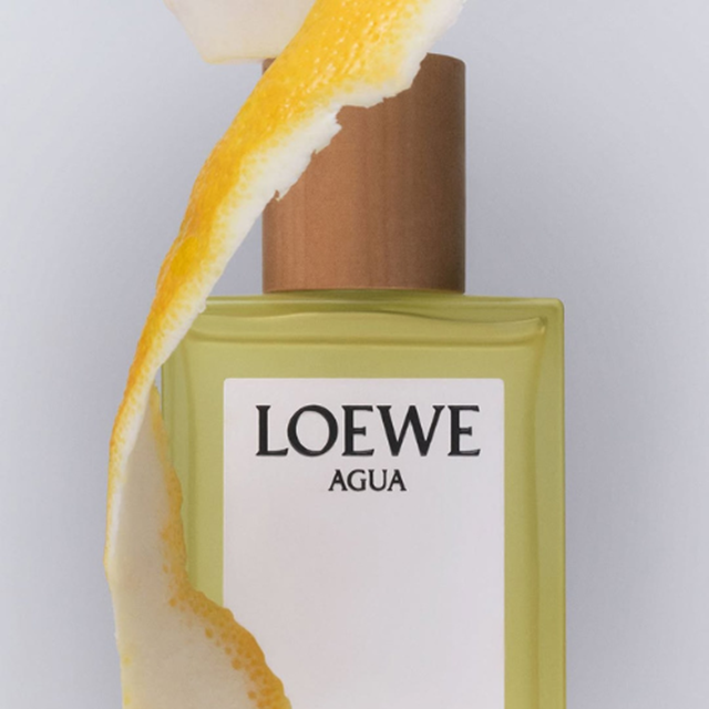 LOEWE Perfumes 22 85