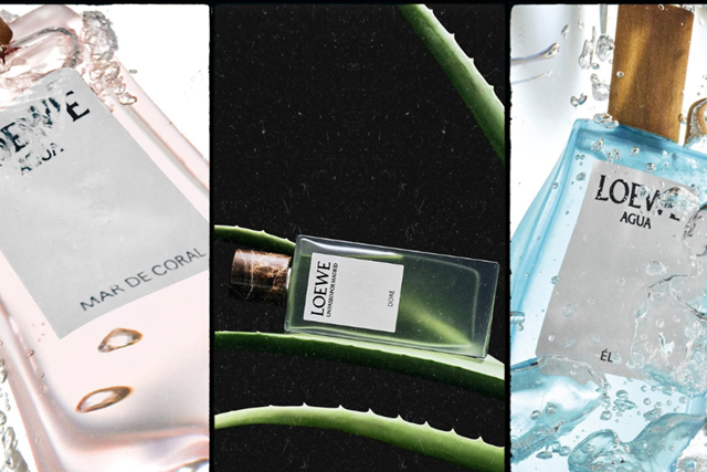 LOEWE Perfumes 22 8cover