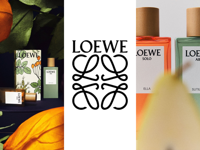 loewe 3 12 1