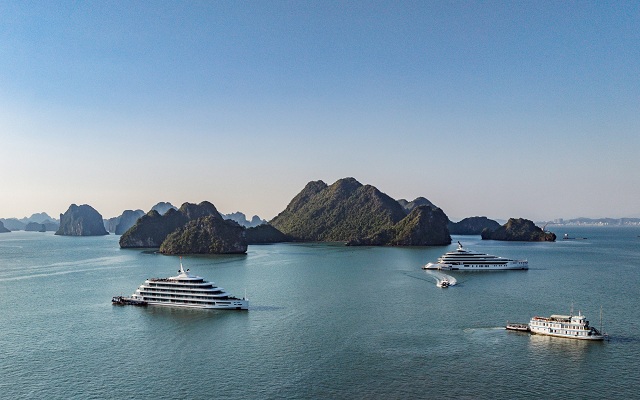 200 ti phu the gioi cung nhau kien tao vuon ti phu tai ha long