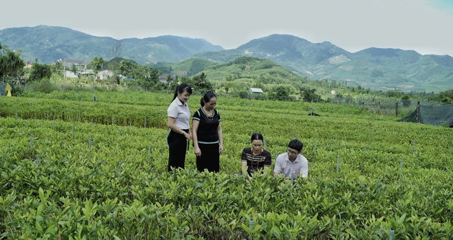 nguoi dan huyen mien nui minh long doi doi nho dong von nhan van
