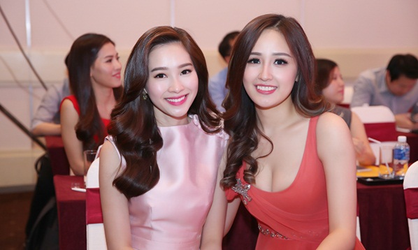 hoahauvietnamtoancanhbaochi.net