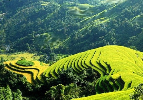 nhung diem den o viet nam tung quyen ru cac sao the gioi toancanhbaochi.net