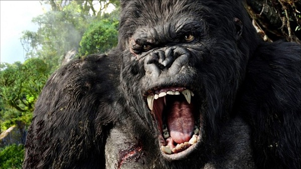 phim king kong phan 2 chuan bi quay tai viet nam toancanhbaochi.net