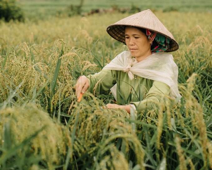 Kevin Faingnaert Vietnam 11 1554651350 680x0