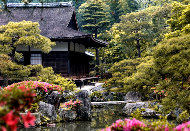 NhatBan1 tokyo