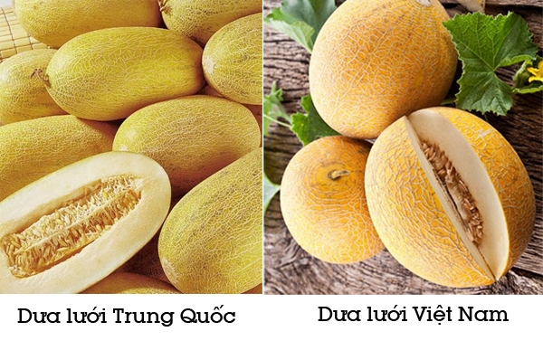 phan biet dua viet nam trung quoc
