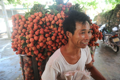 vai thieu bac giang