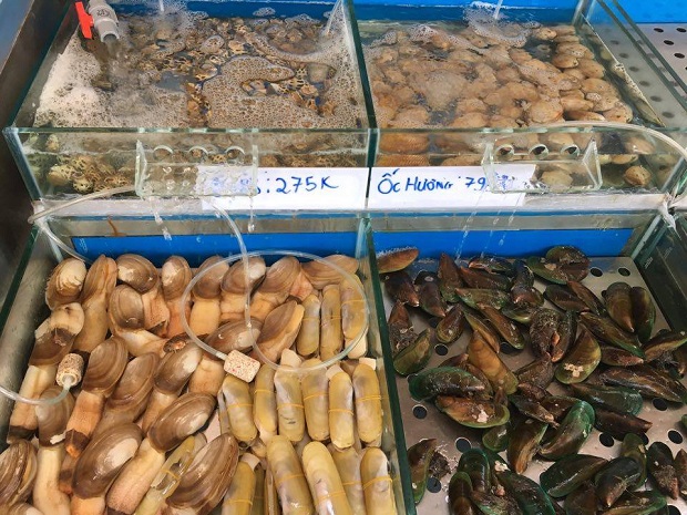 hai san tu binh 1