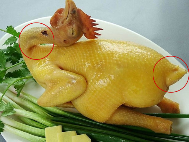 tapchithoidai bo phan doc nhat cua ga