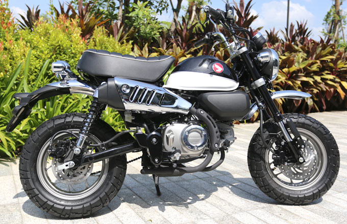 monkey gia 85