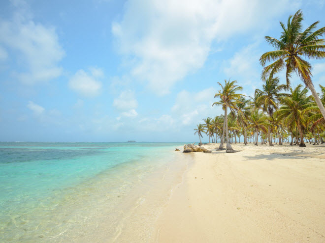 isla perro