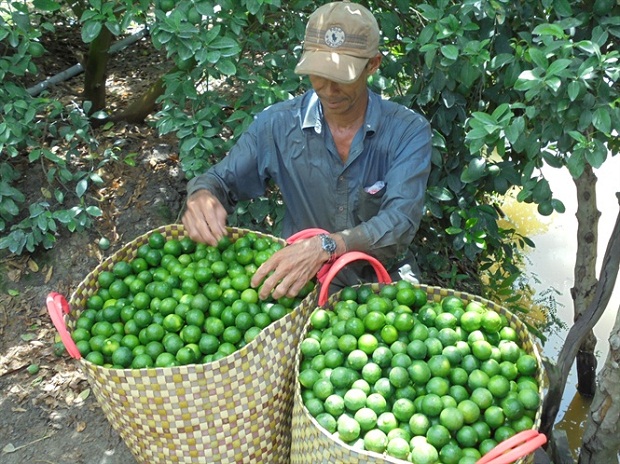 chanh khong hat tapchithoidai