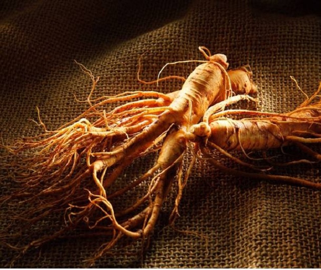 Welson ginseng hong sam han quoc 1