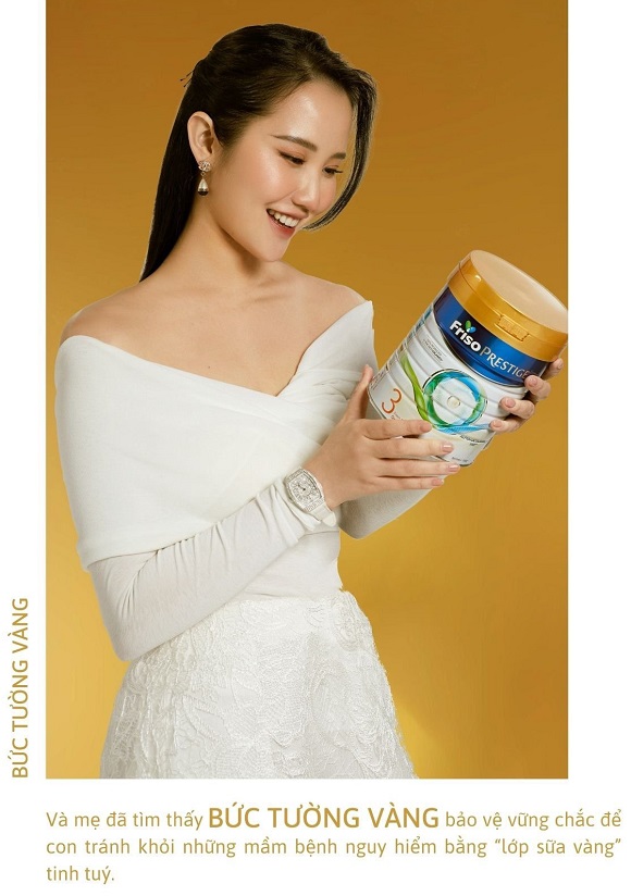 FRISO PRESTIGE 6
