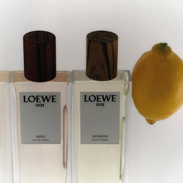 loewe earth edp 1