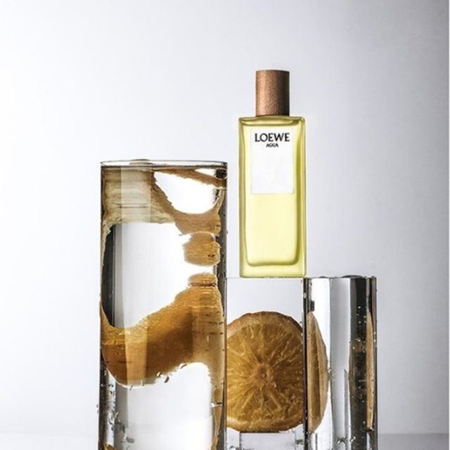 loewe earth edp 3