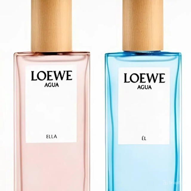 loewe earth edp 4