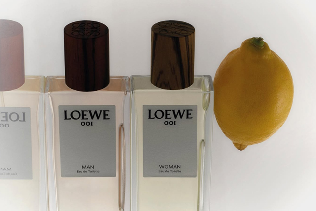loewe earth edp cover