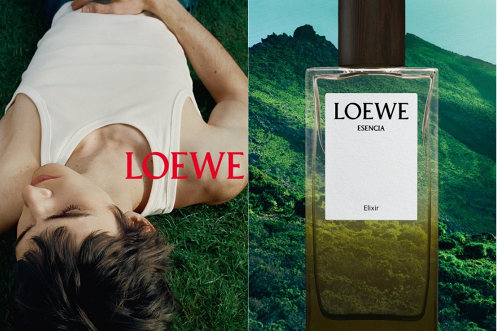 loewe 18 93