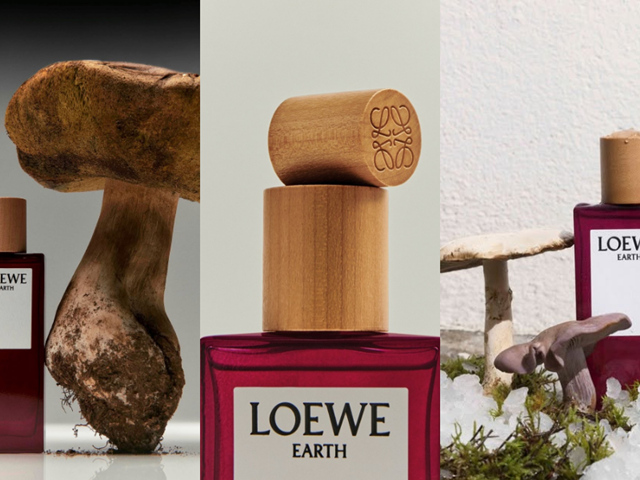 Loewe Earth 1 12 3