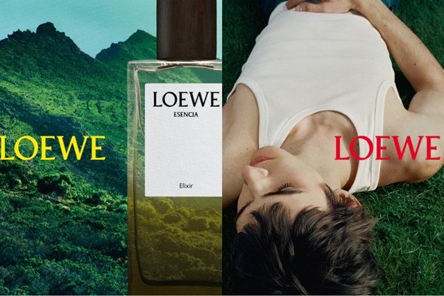 Loewe Perfumes: Những 'sắc xanh' dành riêng cho người cha hiện đại