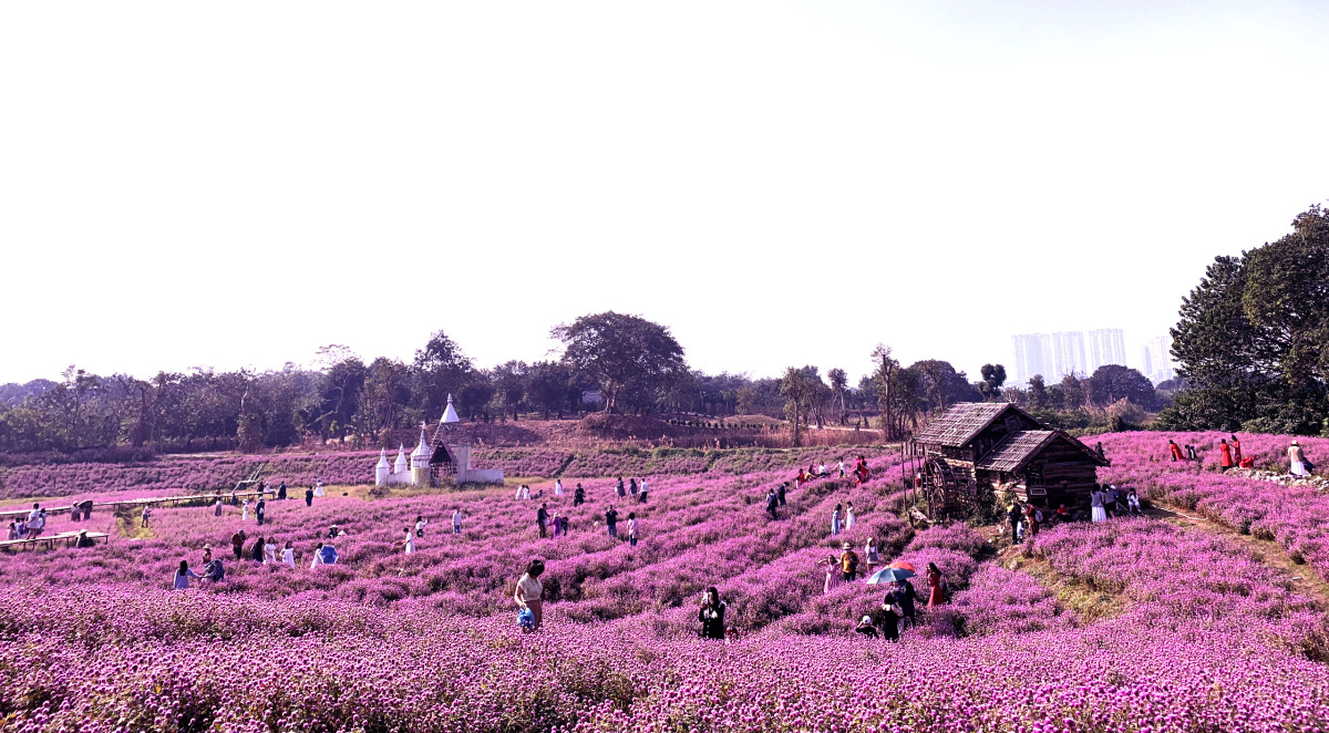 cuc bach nhat ha noi