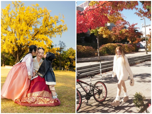 Sao Việt check in mùa lá vàng lá đỏ Hàn Quốc