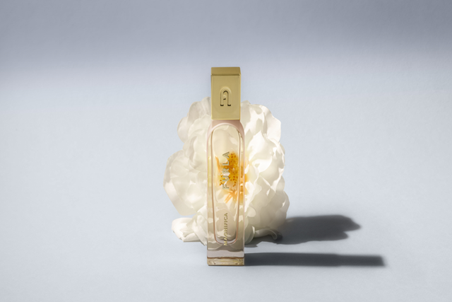 furla 24 4 1