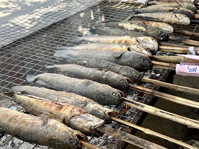via than tai phu tran14